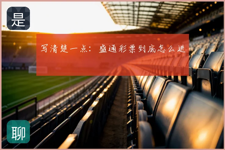 写清楚一点：盛通彩票到底怎么进